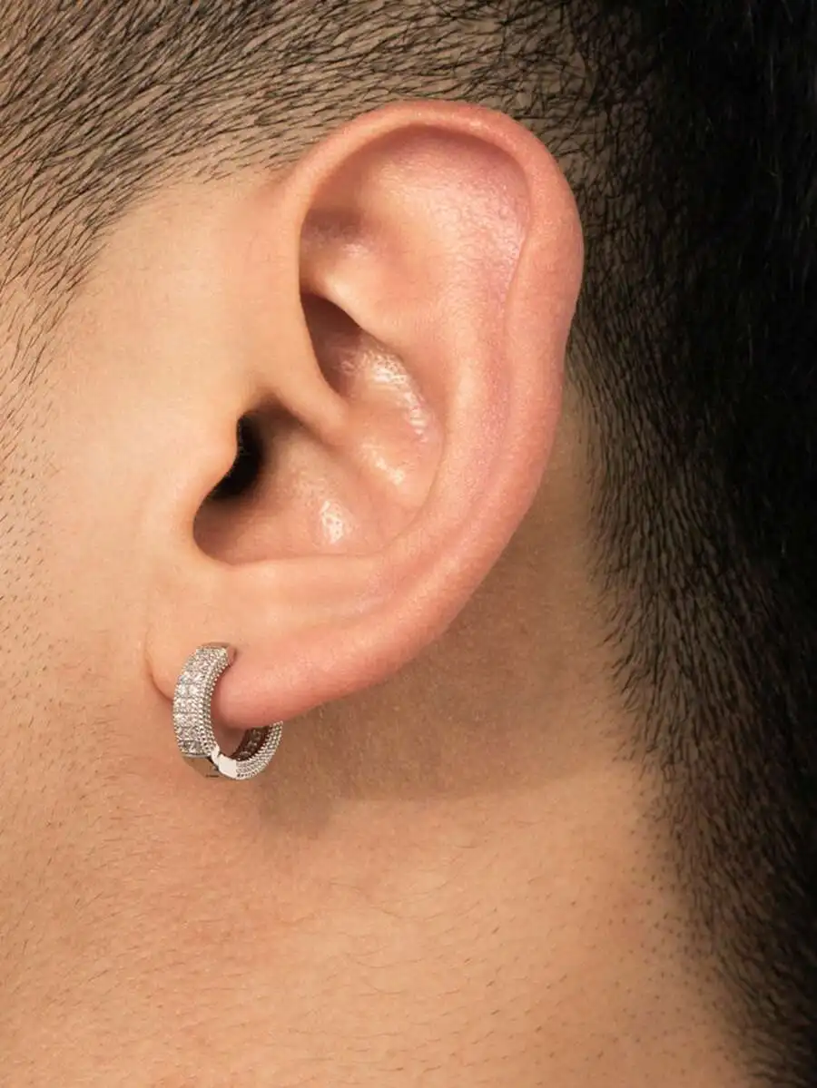 Cubic Zirconia Studded Hoop Ea - Women'S Fashion Earrings のレビューと価格