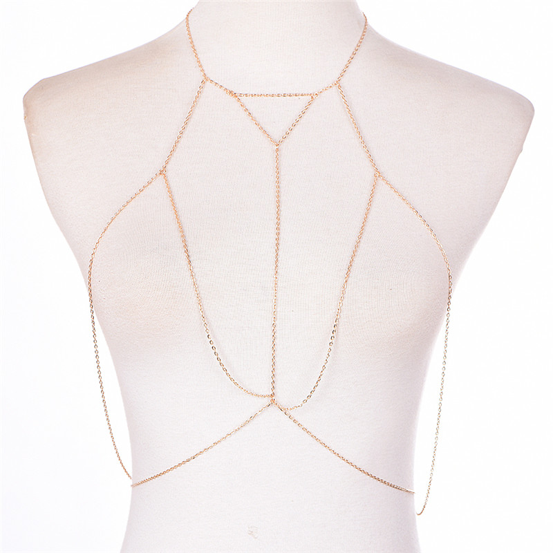 Gold Silver Fashion Link Chain - Women'S Fashion Harness のレビューと価格